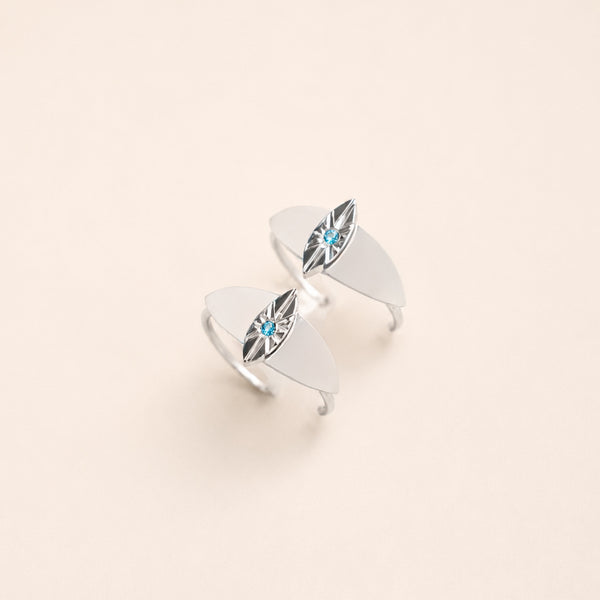 The Witness in Silver