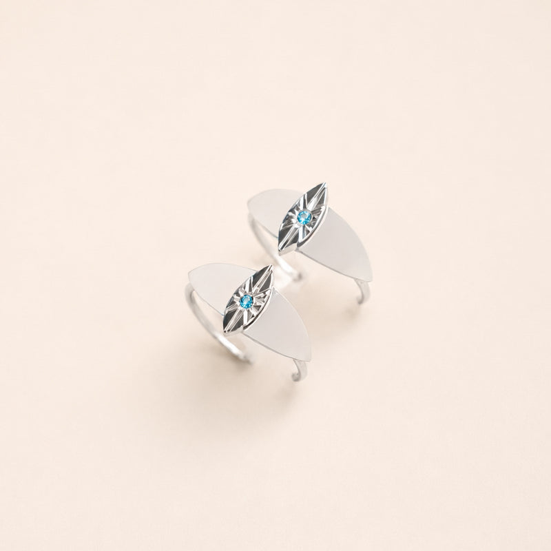 The Witness in Silver